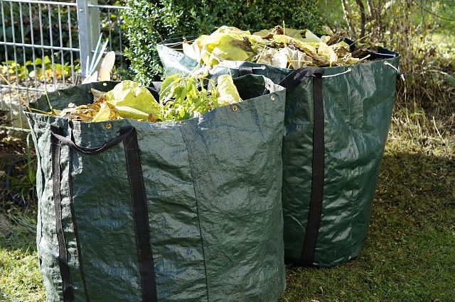 Collecte des déchets verts : formulaire de demande de bac