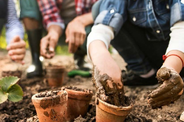 RDV cuisine, jardin, biodiversité 2026