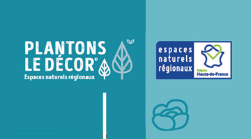 Plantons le décor, à vos commandes