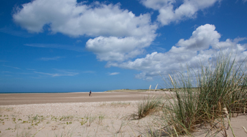 La plage des Escardines